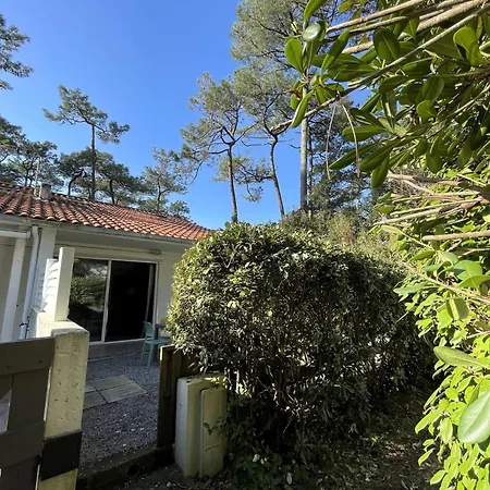 Ref 280 Bourdaines Patio Climatisee Proche Plage , Ideal Famille Villa Seignosse